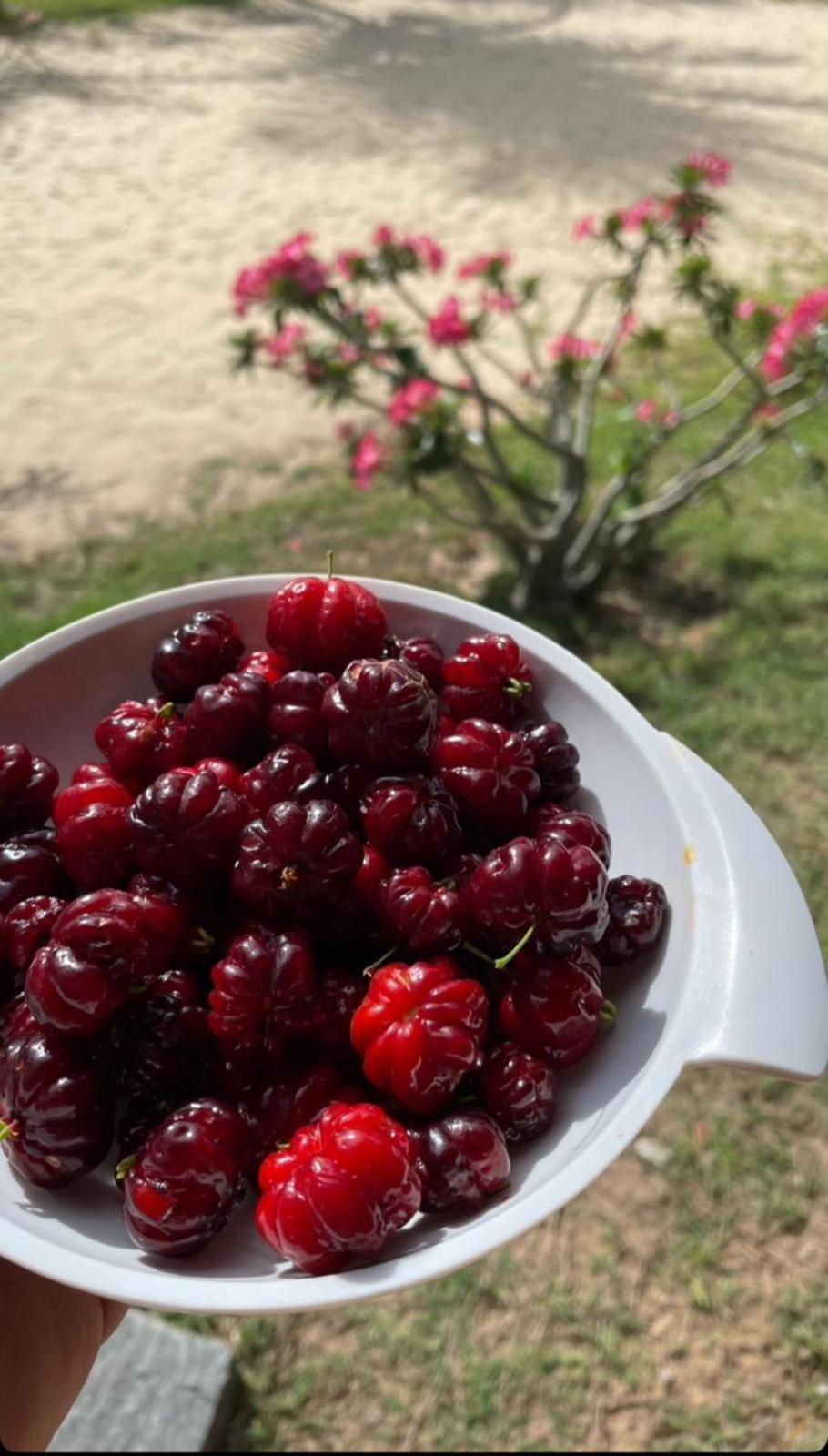 Vila Ybira 泰巴 外观 照片